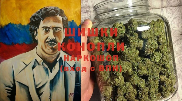спайс Галич
