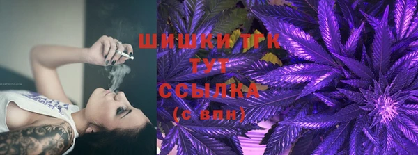 амф Пестово