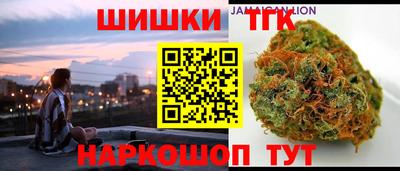индика Гусиноозёрск