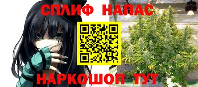 индика Гусиноозёрск