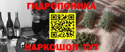 индика Гусиноозёрск