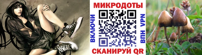 Галлюциногенные грибы MAGIC MUSHROOMS Людиново